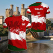 AIO Pride - Welsh Flag Brush Unisex Adult Shirts