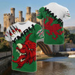 AIO Pride - Welsh Dragon Special Unisex Adult Shirts