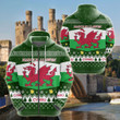 AIO Pride - Wales Christmas Unisex Adult Hoodies