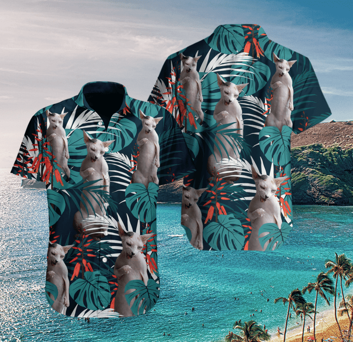 AIO Pride - Sphynx Cat Hawaii Pattern Hawaiian Shirt
