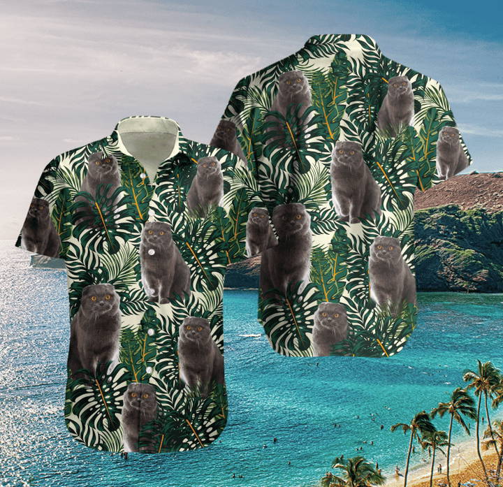AIO Pride - Scottish Fold Grey Cat Hawaii Pattern Hawaiian Shirt