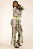 Snake Printed Mesh Bodysuit & Leggings Set CV2710