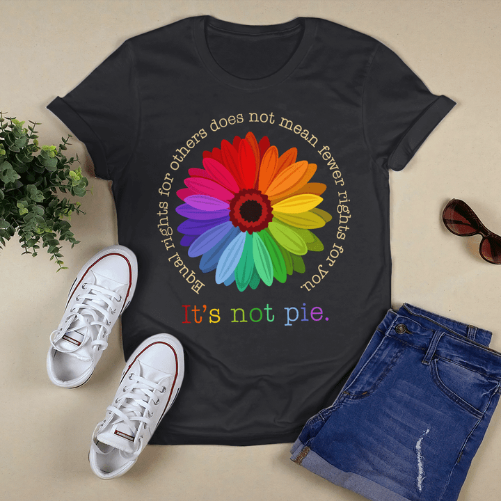 Equal Rights For Others Does Not Mean Fewer Rights For You It's Not Pie Shirt