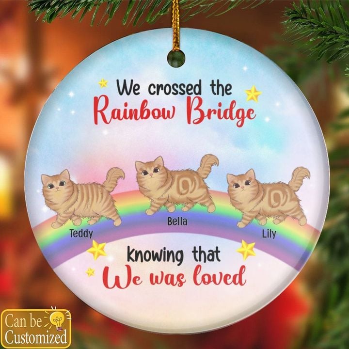 Personalized Cat Breeds Christmas Ornament - I Crossed The Rainbow Bridge Knowing I Was Loved Customize Circle Ornamen