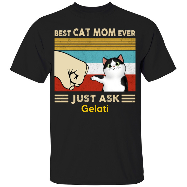 Best Cat Mom Fluffy Cat Personalized Gift T-Shirt