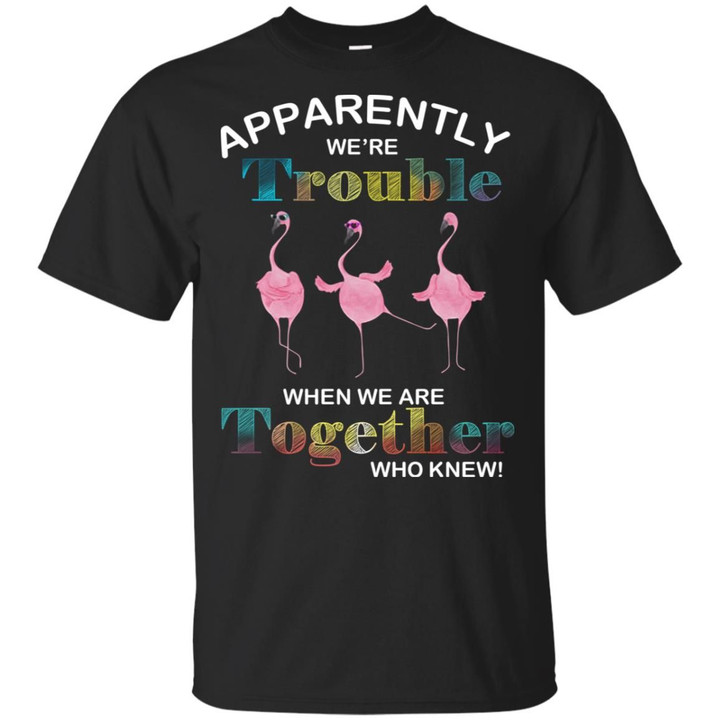 Flamingos apparently we’re trouble when we are together who knew shirt