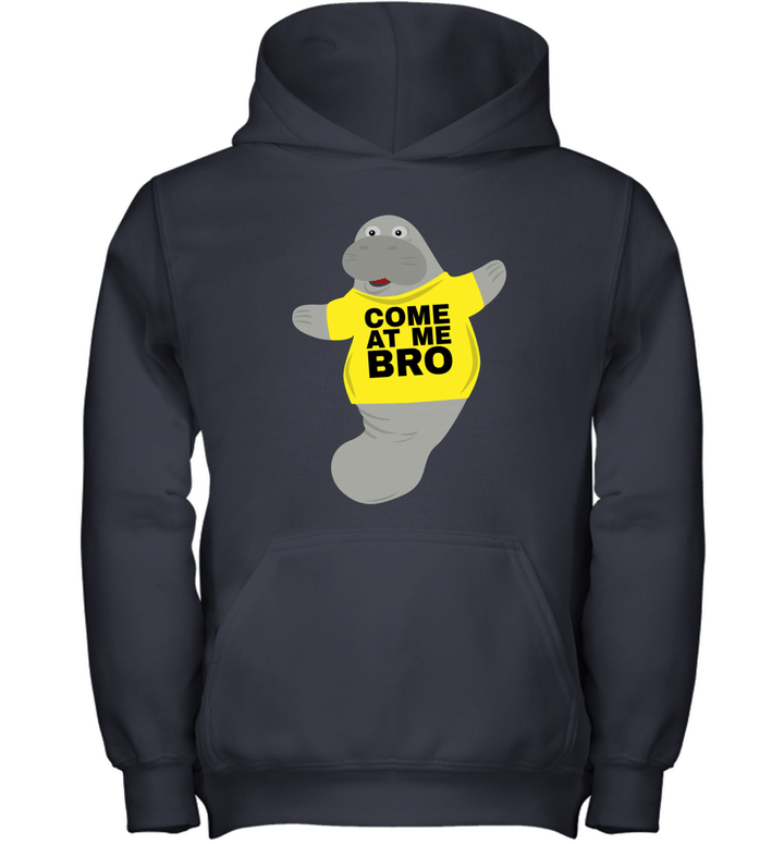 Come At Me Bro Funny Youth Hoodie