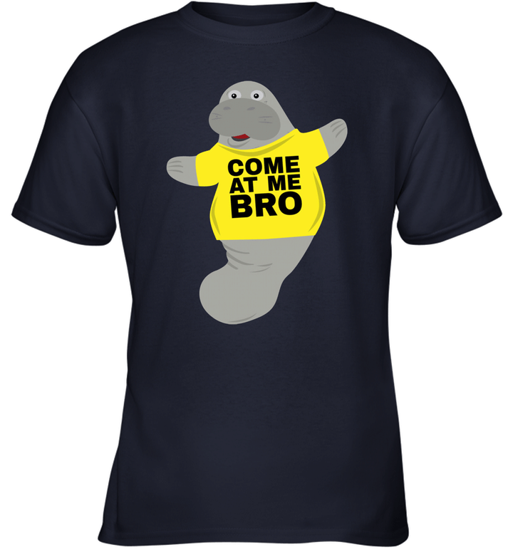 Come At Me Bro Funny Youth T-Shirt