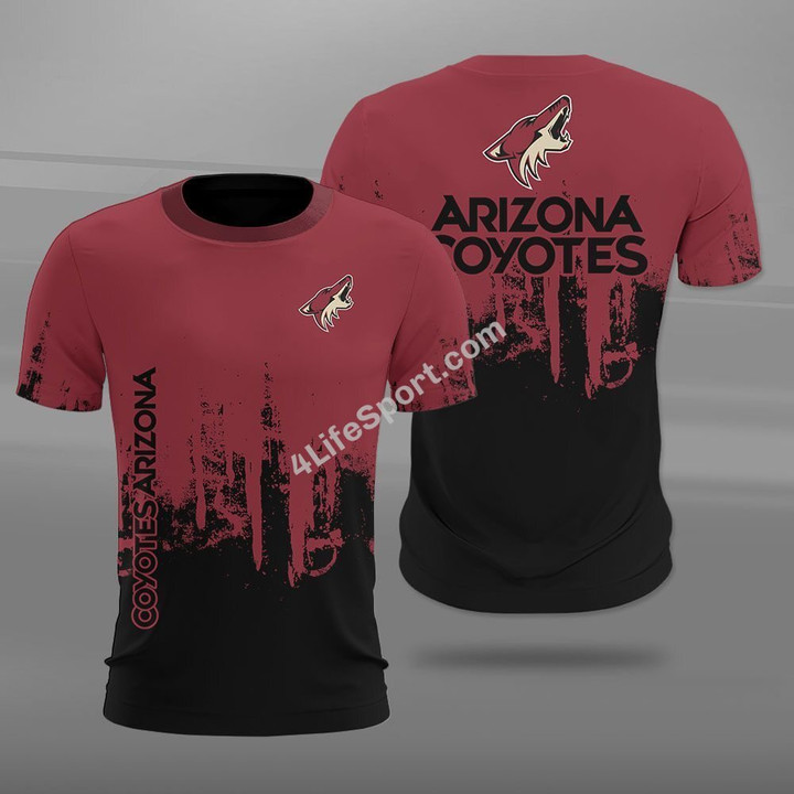 Arizona Coyotes FFSB0201
