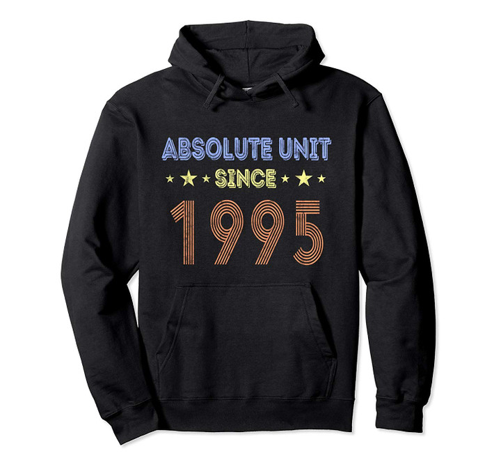24th Birthday Since 1995 Funny 24 Year Retro Vintage T Gifts Pullover Hoodie