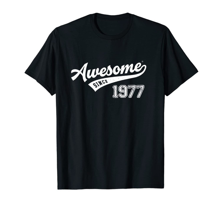 Awesome Since 1977 Old School Baseball 42nd Birthday Gift Unisex T-Shirt