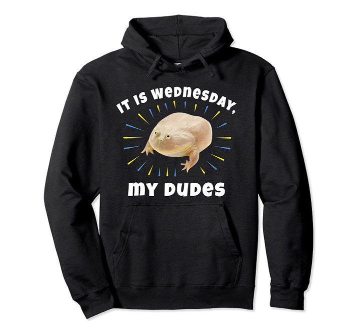 It Is Wednesday My Dudes as Frog Meme Gifts Pullover Hoodie, T Shirt, Sweatshirt