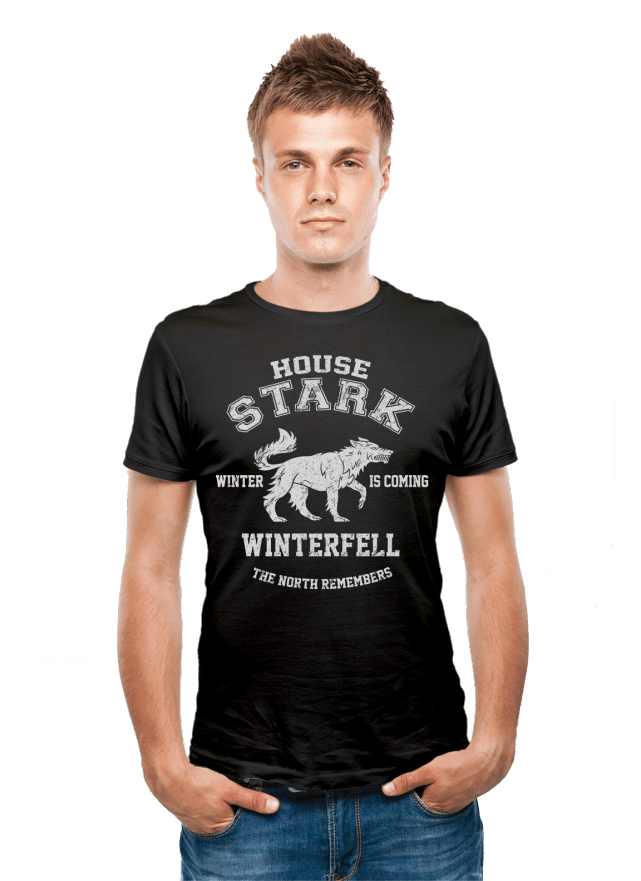 WINTER IS COMING T-Shirt Direwolf Game of Thrones TV Winter is coming Winterfell T Shirt