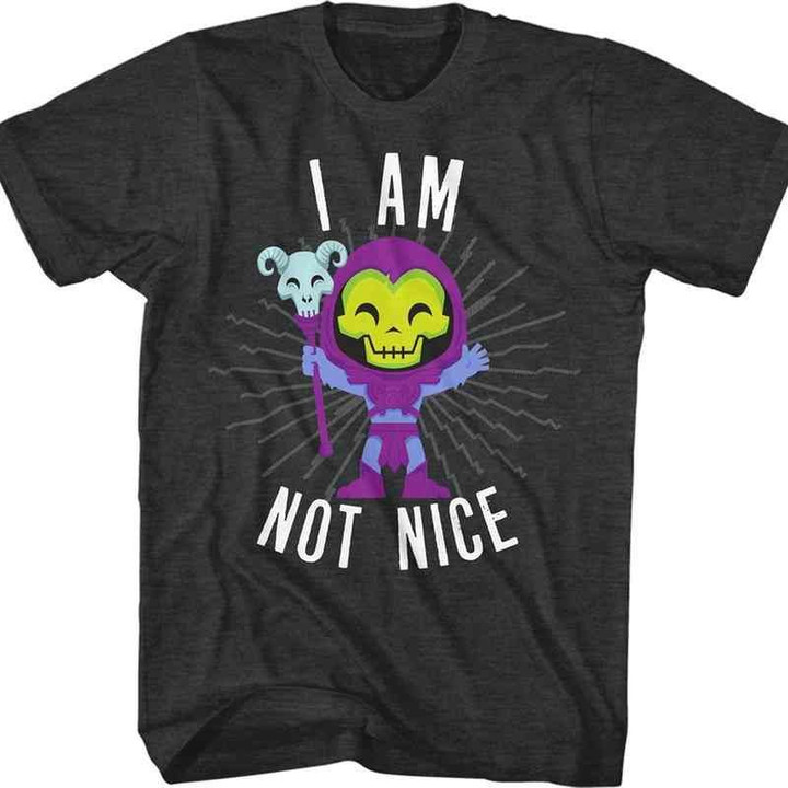 Skeletor I Am Not Nice Masters of the Universe T-Shirt 80S CARTOON T Shirt