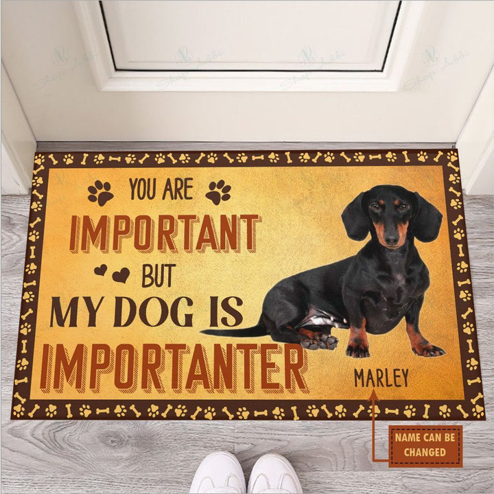 You Are Important But My Dog Is Importanter Dachshund Dog Doormat
