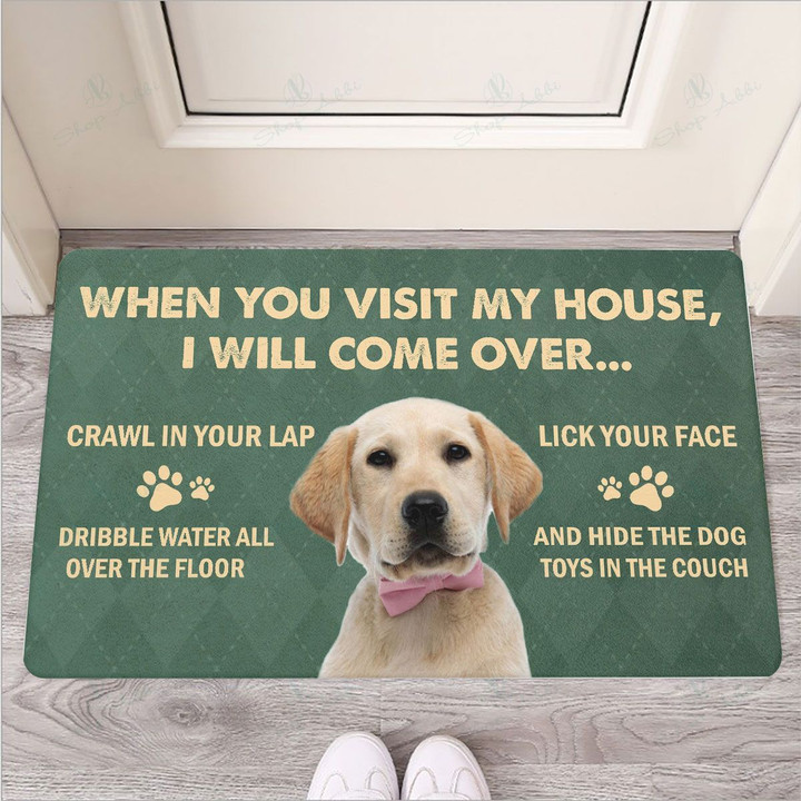 When you visit my house Labrador Retriever Dog