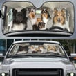 Shetland Sheepdog Family Car Sunshade - TG0821QA