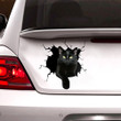 Black Cat In Broken Hole Car Decal Sticker - TG0122OS