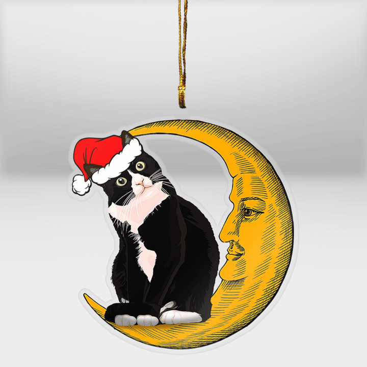 Cat on the moon ornament - AD1121DT