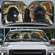 Newfoundland Dog Family Car Sunshade - TG0721QA