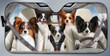 Papillon Dog Family Car Sunshade - TG0821TA