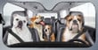 English Bulldog Family Car Sunshade - TG0821HN