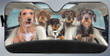 Wired Haired Dachshunds Family Car Sunshade - TG0821DT