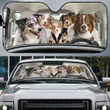 Australian Shepherd Family Car Sunshade - TG0821QA