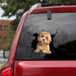Golden Doodle Cracked Car Decal Sticker - NH0821