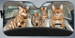 Bengal Cat Family Car Sunshade - TG0921DT