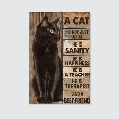 A Black Cat Is Not Just A Cat Canvas & Poster - NH1121QA