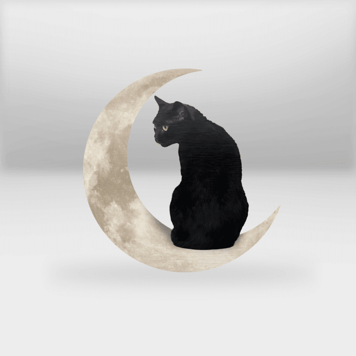 Moon Black Cat Cut Metal Sign - TG0122QA