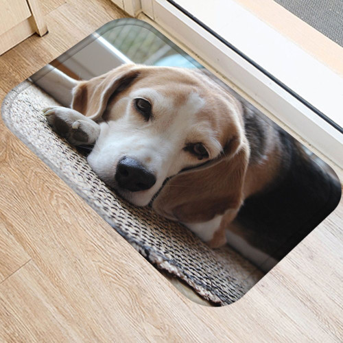 3D Cute Dog Antislip Doormat DHC07061886