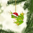 Frog Christmas NI1711028YR Ornaments