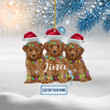 Personalized Poodle Family NI2411001YI Ornaments