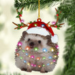 Hedgehog NI2511003YJ Ornaments
