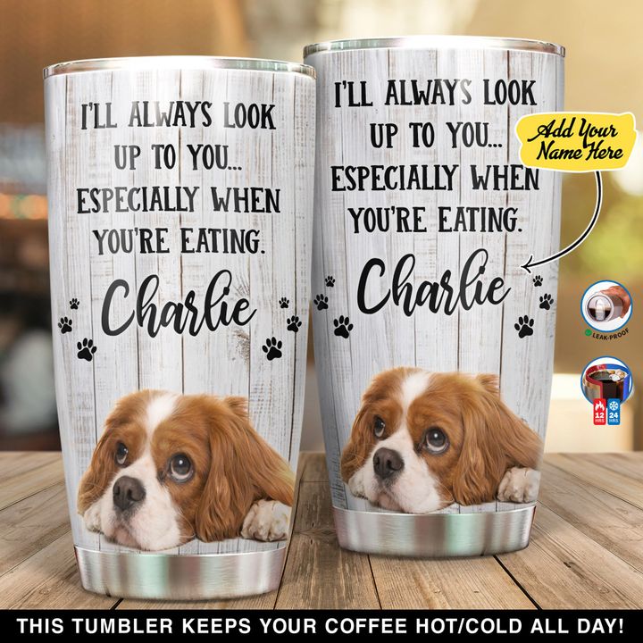 Personalized Cavalier King Charles Spaniel Look Up To You NI0302009YT Tumbler