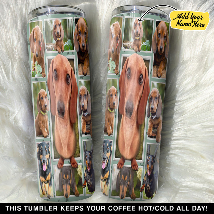 Personalized A Lovely Brown Dachshund GS0804855OD Skinny Tumbler