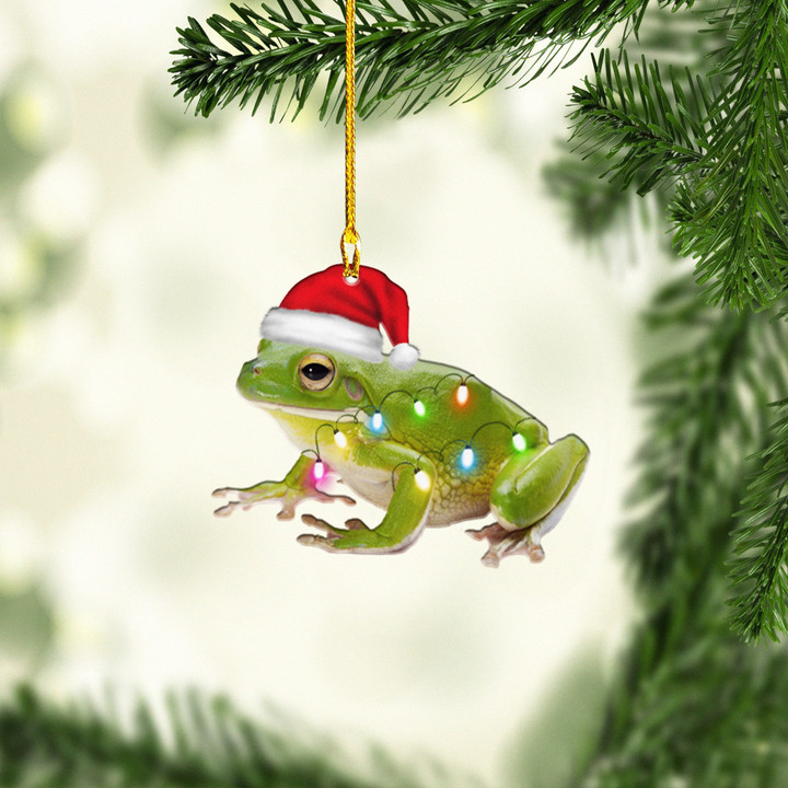Frog Christmas NI1711023YR Ornaments