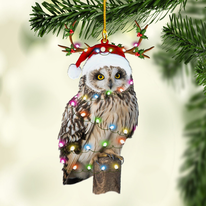 Owls NI1811002YJ Ornaments