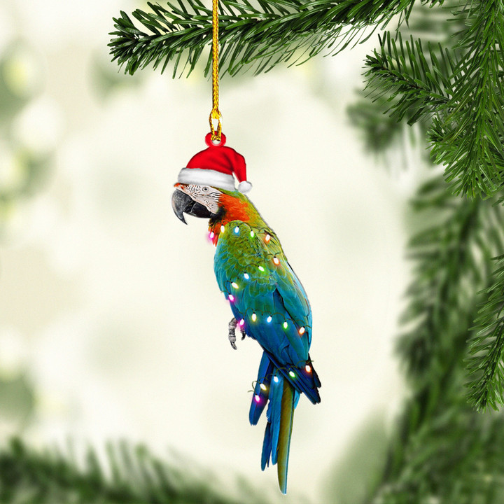 Parrots NI2011016YR Ornaments