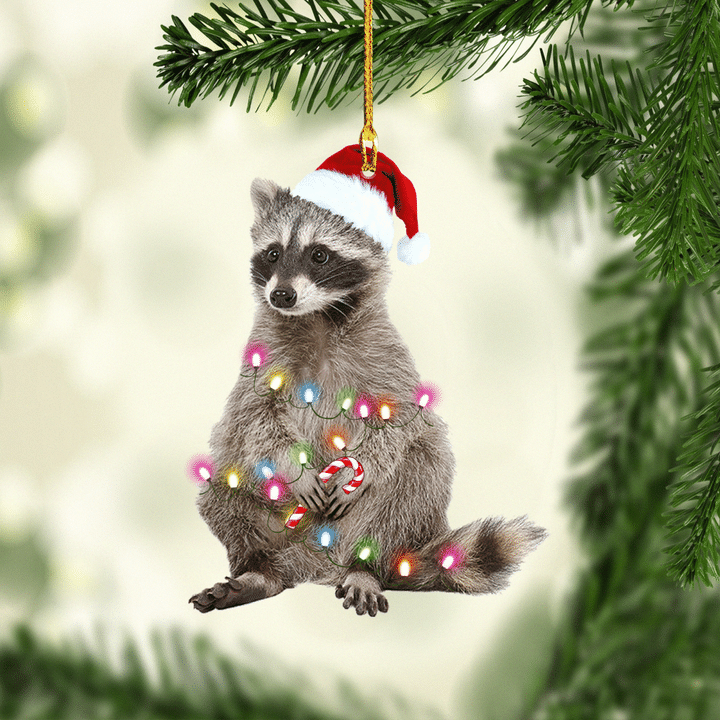 Raccoon NI1311019XB Ornaments
