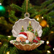 Pomeranian Sleeping Pearl In Christmas YC0711091CL Ornaments
