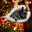 Sleeping Scottish Terrier Dog YC0611516CL Ornaments