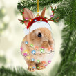 Bunny NI2611003YJ Ornaments