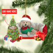 Personalized Poodle Christmas NI2412005XB Ornaments