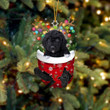 Black Goldendoodle In Snow Pocket Christmas YR281004CL Ornaments