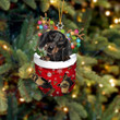 Black Dachshund In Snow Pocket Christmas YR281009CL Ornaments