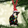 Personalized Tuxedo Cat Christmas Reindeer YR0111016CL Ornaments