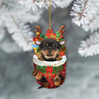 Personalized Rottweiler Dog Snow Pocket YR0111025CL Ornaments